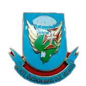 Cracha Geral Tropas Ultramar - Trincheira Militar
