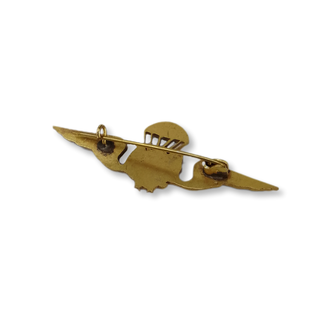 Distintivo brevet de Para-Fuzo