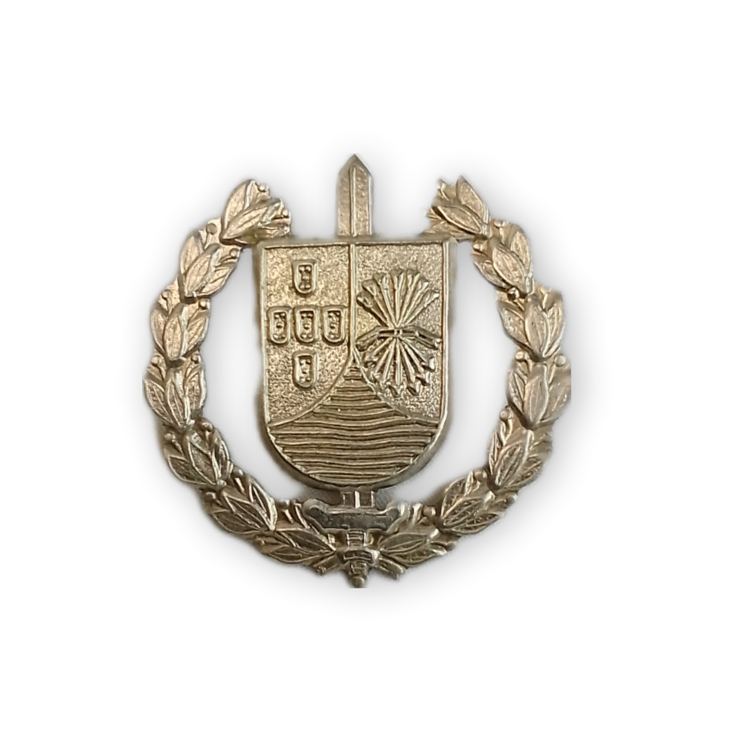 Crachá / Distintivo de boina GE / GEP