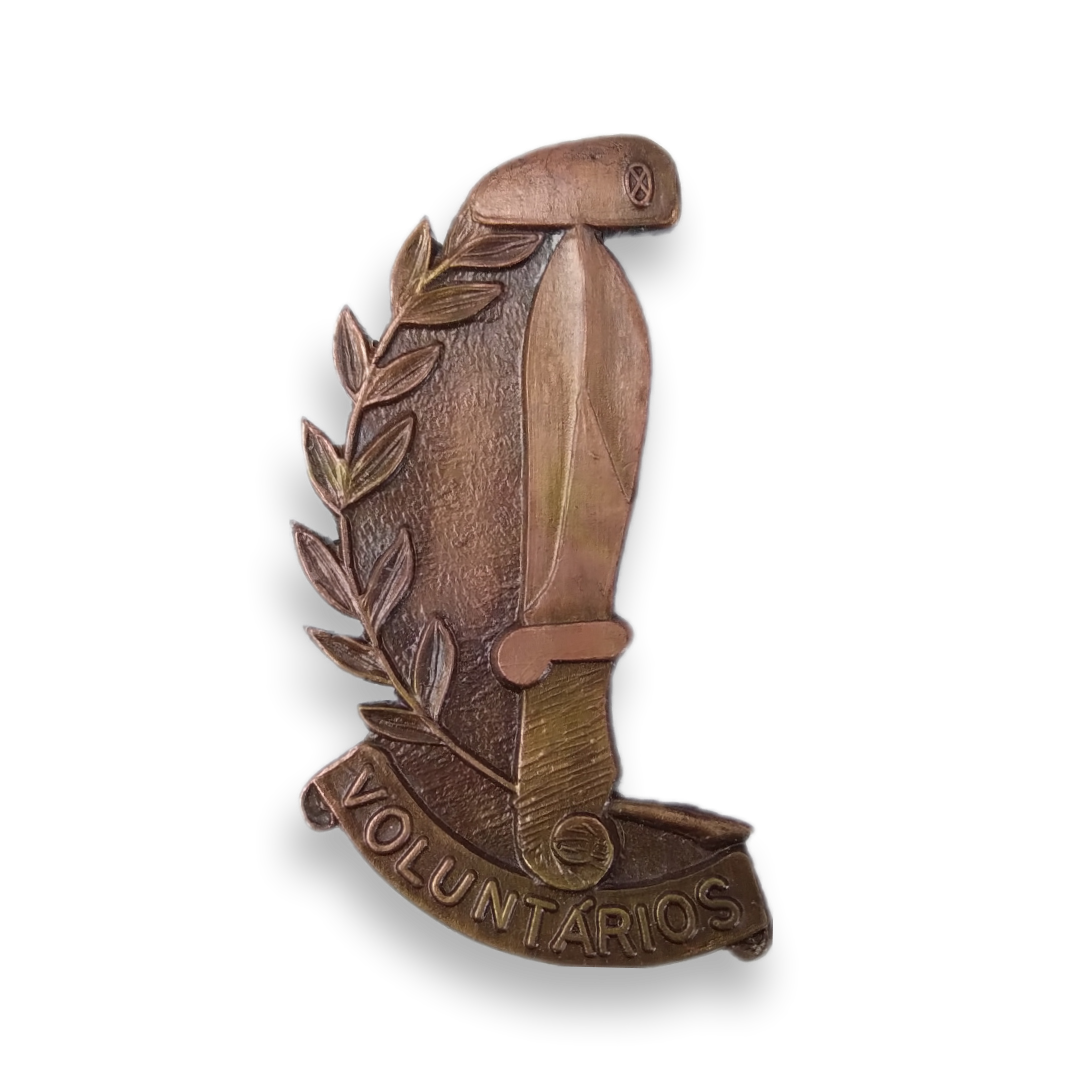 Marine Volunteer Badge