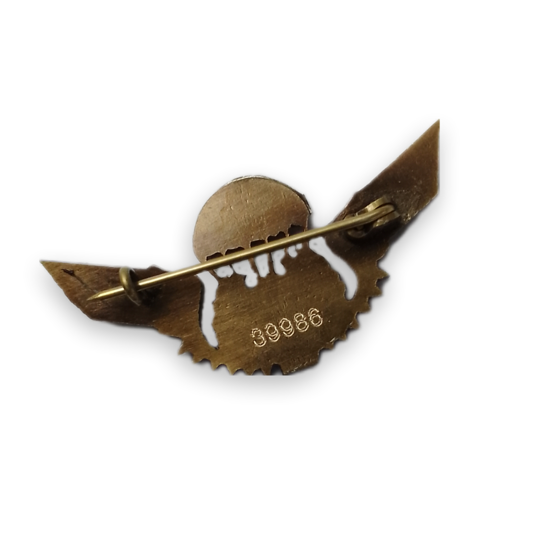 Regulación de paracaidismo militar Brevet Pin