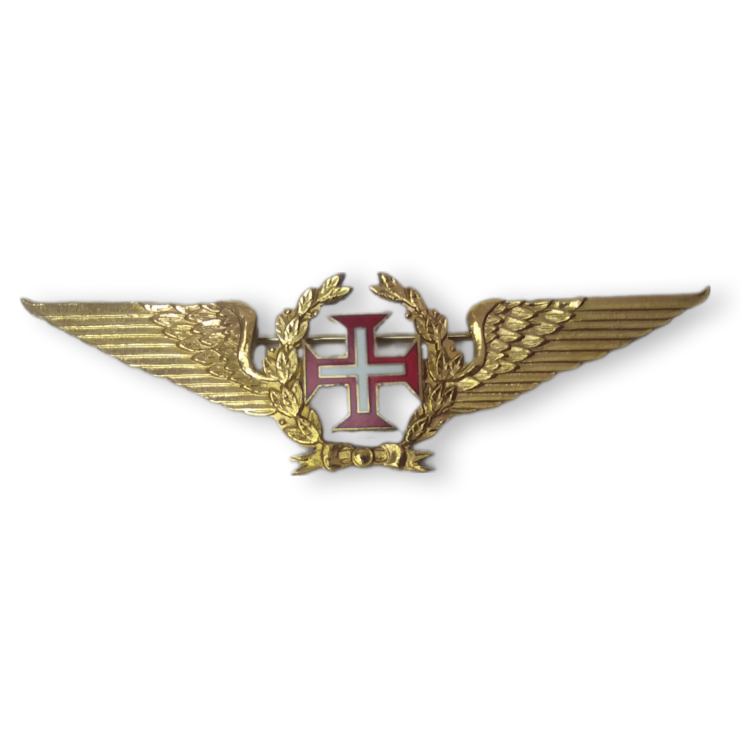 Civil Aviation Pilot Pin