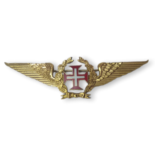 Civil Aviation Pilot Pin