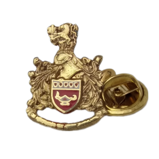 Army Weapons School Pin