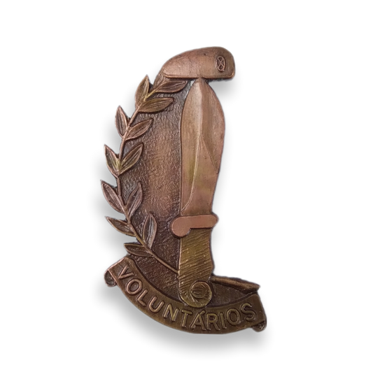 Marine Volunteer Badge