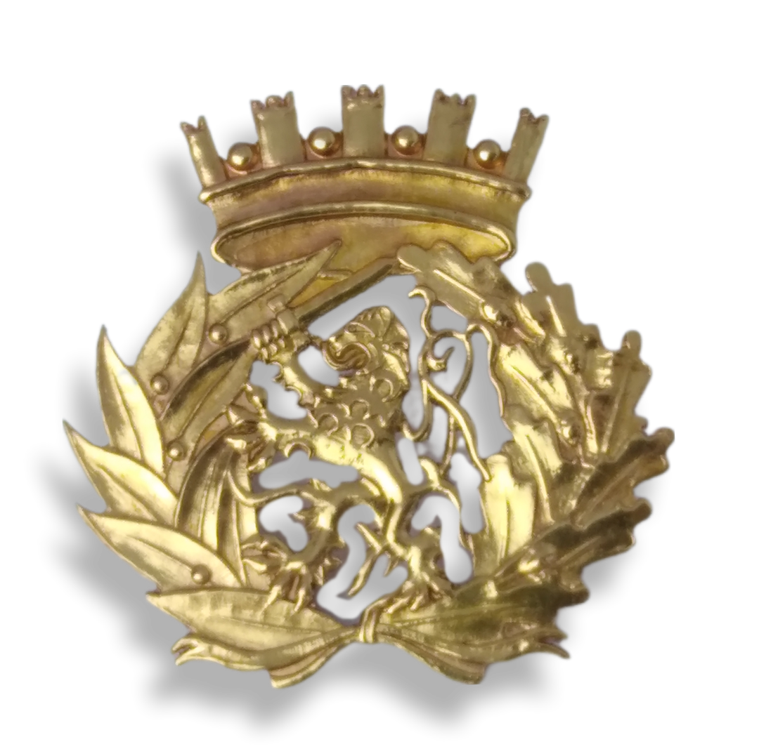 Insignia/insignia de boina del ejército