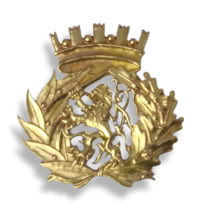 Insignia/insignia de boina del ejército