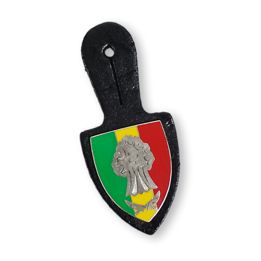 Cracha de país Pan-africano