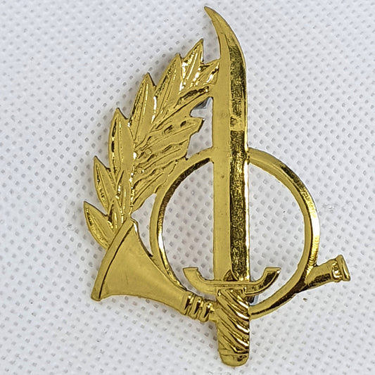 Ranger/Special Operations Beret Badge/Pin