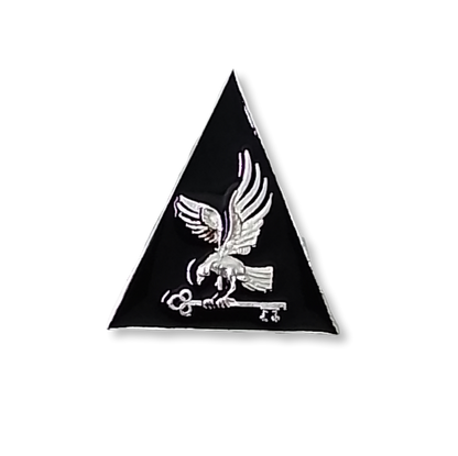 Distintivo / Insignia de Curso de Segurança Militar