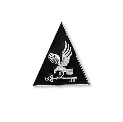 Distintivo / Insignia de Curso de Segurança Militar