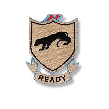 Patches termocolantes Normandia -  WW2