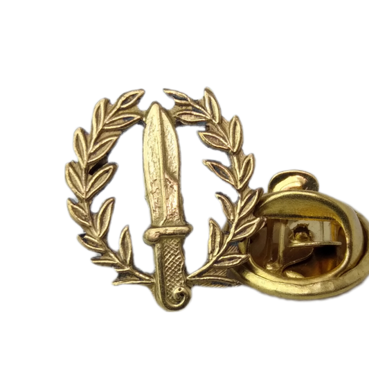 Marines Course Pin 01