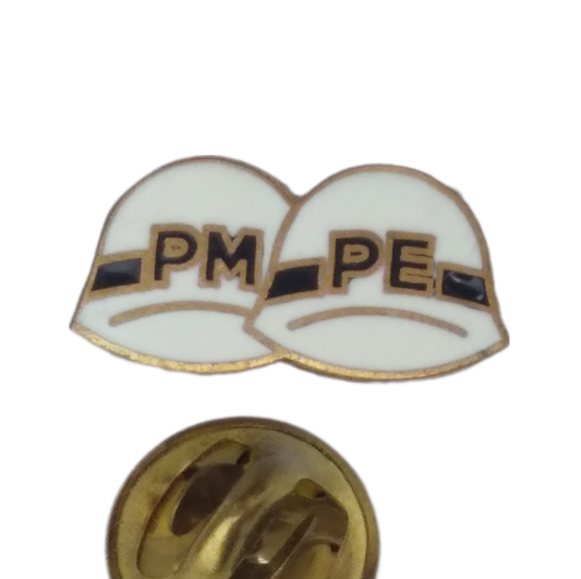 PM/PE Pin